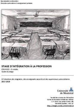 STAGE D'INTÉGRATION À LA PROFESSION - Stages en formation initiale à l ...