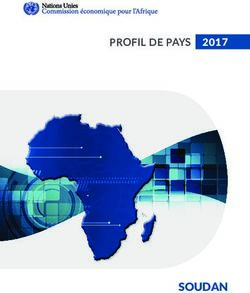 SOUDAN - 2017 PROFIL DE PAYS - United Nations Economic Commission for Africa