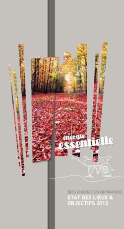 ETAT DES LIEUX & OBJECTIFS 2013 - BOIS ENERGIE EN NORMANDIE