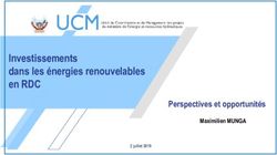 Investissements dans les &eacute;nergies renouvelables en RDC - Perspectives et opportunit&eacute;s