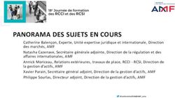 PANORAMA DES SUJETS EN COURS - AMF