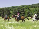 Les Hauts-Plateaux d'Ardèche - Cavaliers du ...