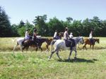 Les Hauts-Plateaux d'Ardèche - Cavaliers du ...