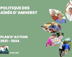 POLITIQUE DES A&Icirc;N&Eacute;S D'AMHERST - PLAN D'ACTION 2021 - 2024 AVRIL 2021 - Municipalit&eacute; d'Amherst