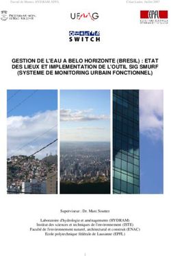 GESTION DE L'EAU A BELO HORIZONTE (BRESIL) : ETAT DES LIEUX ET IMPLEMENTATION DE L'OUTIL SIG SMURF (SYSTEME DE MONITORING URBAIN FONCTIONNEL) - SWITCH