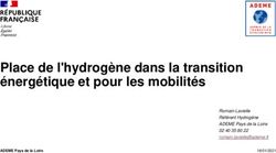 Place de l'hydrogène dans la transition énergétique et pour les mobilités - Romain Lavielle Référent Hydrogène ADEME Pays de la Loire 02 40 35 80 ...