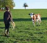 En direct de la Chambre d'agriculture