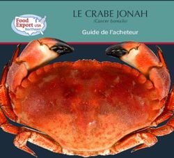 LE CRABE JONAH Guide de l'acheteur - (Cancer borealis) - Food Export-Northeast
