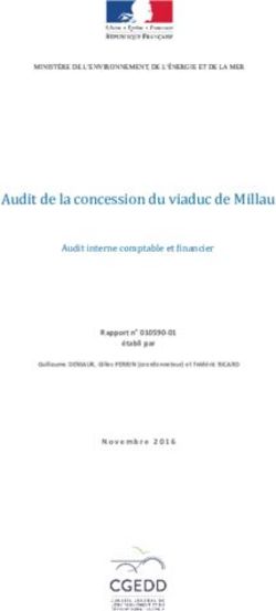 Audit de la concession du viaduc de Millau - Audit interne comptable et financier - CGEDD