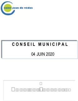 CONSEIL MUNICIPAL 04 JUIN 2020 - NOTE DE SYNTHESE - Saint ...