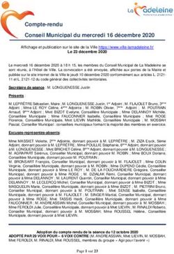 Compte-rendu Conseil Municipal du mercredi 16 décembre 2020
