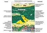 ENGAGER UNE D&Eacute;MARCHE D'URBANISME ET DE PAYSAGE - 16 M&Eacute;MENTO