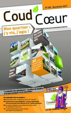 N 106 - Novembre 2017 - Ville de Coudekerque-Branche