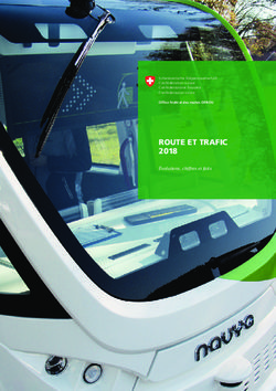 ROUTE ET TRAFIC 2018 - Admin.ch