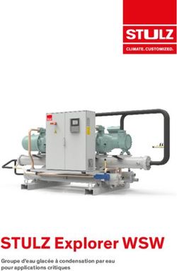 STULZ Explorer WSW Groupe d'eau glac&eacute;e &agrave; condensation par eau pour applications critiques
