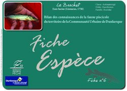 La Brochet - F&eacute;d&eacute;ration de P&ecirc;che du Nord