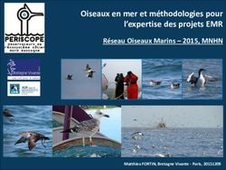 Oiseaux en mer et méthodologies pour l'expertise des projets EMR - Réseau Oiseaux Marins - 2015, MNHN - Réseau Oiseaux Marins