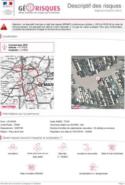 Descriptif des risques - PUBLIMMO