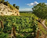 COLLECTION 2019 2020 - Bollinger Diffusion