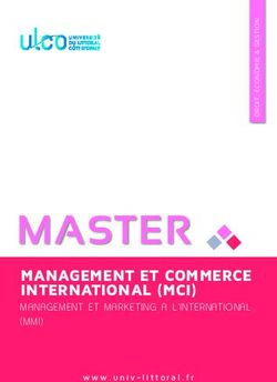 MASTER MANAGEMENT ET COMMERCE INTERNATIONAL (MCI) - MANAGE ME NT ET MARKETING A L'INTERN AT IO NAL ( M MI)