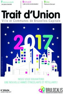 Trait d'Union - Brulocalis