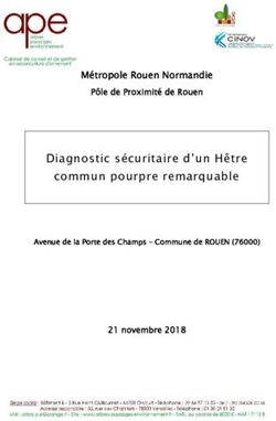 Diagnostic sécuritaire d'un Hêtre commun pourpre remarquable - Métropole Rouen Normandie - Rouen.fr