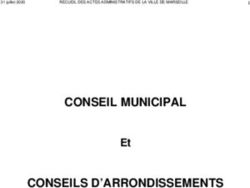 CONSEIL MUNICIPAL CONSEILS D'ARRONDISSEMENTS - Et - Ville de ...