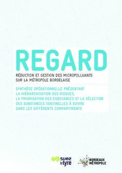 SYNTHÈSE OPÉRATIONNELLE PRÉSENTANT LA HIÉRARCHISATION DES RISQUES, LA PRIORISATION DES SUBSTANCES ET LA SÉLECTION DES SUBSTANCES SENTINELLES À ...