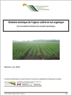 Itinéraire technique de l'oignon cultivé en sol organique - Agrobonsens