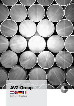 AVZ-Group Brochure | Brosch&uuml;re