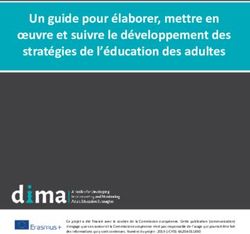 Un guide pour élaborer, mettre en oeuvre et suivre le développement des stratégies de l'éducation des adultes