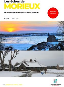 Nouvelle version - Lamballe-Armor