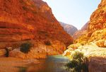 Sultanat d'Oman Manuel de vente - Go2Win