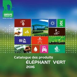 ÉLÉPHANT VERT Catalogue des produits - Eléphant Vert