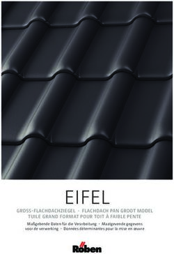 EIFEL GROSS-FLACHDACHZIEGEL FLACHDACH PAN GROOT MODEL TUILE GRAND FORMAT POUR TOIT À FAIBLE PENTE