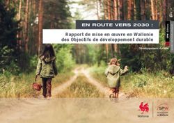 Rapport de mise en oeuvre en Wallonie des Objectifs de développement durable - EN ROUTE VERS 2030 : UN-Habitat