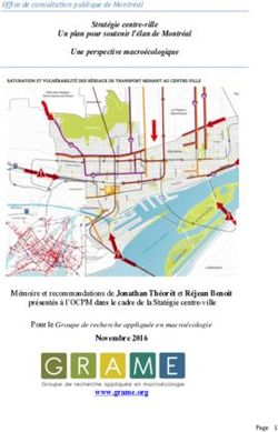 Strat&eacute;gie centre-ville Un plan pour soutenir l'&eacute;lan de Montr&eacute;al Une perspective macro&eacute;cologique - Le GRAME