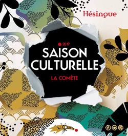 CULTURELLE SAISON 2019 - La Comète