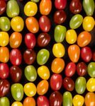 Semences potagères biologiques et non traitées - Gamme pour professionnels - Rijk Zwaan