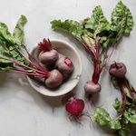 Semences potagères biologiques et non traitées - Gamme pour professionnels - Rijk Zwaan