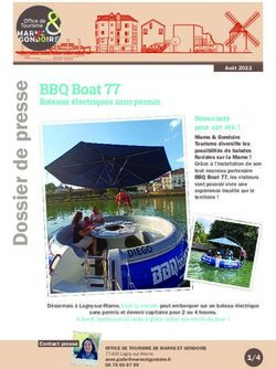 BBQ Boat 77 Bateaux &eacute;lectriques sans permis - Marne et Gondoire Tourisme