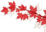 JOIGNEZ-VOUS &Agrave; LA D&Eacute;L&Eacute;GATION OFFICIELLE DU CANADA ET PROFITEZ DE PLUS D'OCCASIONS 2019 MINING INDABA - L&Agrave; O&Ugrave; LE MONDE SE BRANCHE SUR LE MILIEU ...