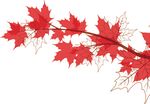 JOIGNEZ-VOUS &Agrave; LA D&Eacute;L&Eacute;GATION OFFICIELLE DU CANADA ET PROFITEZ DE PLUS D'OCCASIONS 2019 MINING INDABA - L&Agrave; O&Ugrave; LE MONDE SE BRANCHE SUR LE MILIEU ...