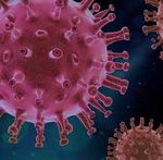 RDVanimations - &Eacute;PID&Eacute;MIE CORONAVIRUS - COVID-19 - CONSIGNES &Eacute;VOLUTIVES - VEUILLEZ VOUS RENSEIGNER SUR LA TENUE DES MANIFESTATIONS - DOCUMENT NON ...
