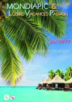 MONDIAPIC & LOISIRS VACANCES PASSION