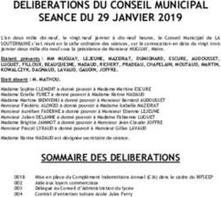 DELIBERATIONS DU CONSEIL MUNICIPAL SEANCE DU 29 JANVIER 2019 - La Souterraine