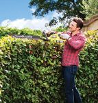 UNE SEULE BATTERIE POUR TOUS VOS OUTILS - Une batterie 18V Lithium+ polyvalente, compatible avec plus de 70 outils de bricolage et de jardinage ...