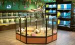Your pet shop - HP Aquarium