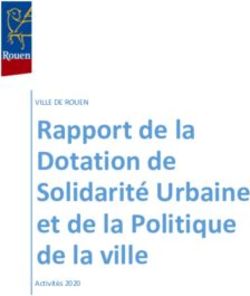 Rapport de la Dotation de Solidarité Urbaine et de la Politique de la ville - VILLE DE ROUEN - Activités 2020 - Rouen.fr