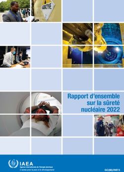 Rapport d'ensemble sur la sûreté nucléaire 2022 - GC(66)/INF/3